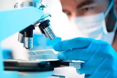 best pathology lab in bhagalpur, best lab for blood test in bhagalpur, best nabl lab in bhagalpur